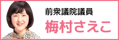 前衆議院議員 梅村さえこ