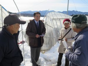 大雪被害・倒壊ハウスを調査（小鹿野町）