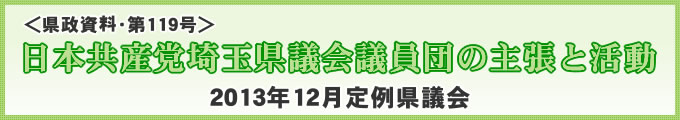 E119@{Y}ʌccc̎咣Ɗ@2013N12ጧc